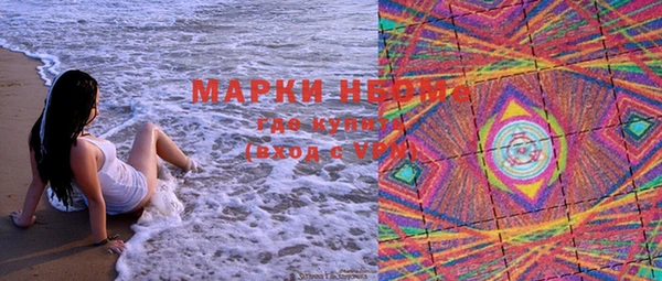 mdpv Новодвинск