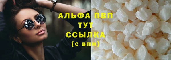 mdpv Новодвинск