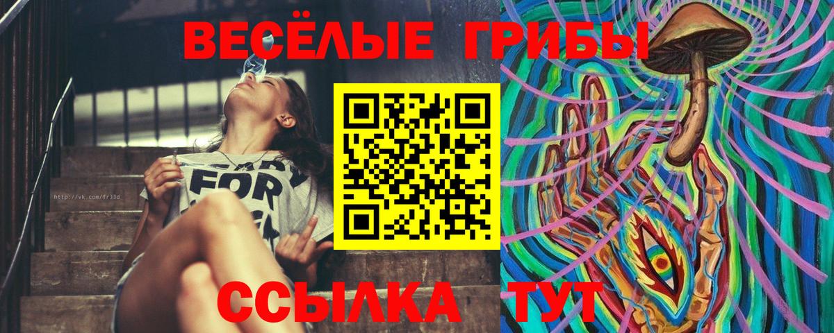 Псилоцибиновые грибы мухоморы  Псилоцибиновые грибы Psilocybine cubensis  Вход с VPN  Краснознаменск 