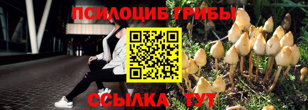 МЕФ Краснознаменск