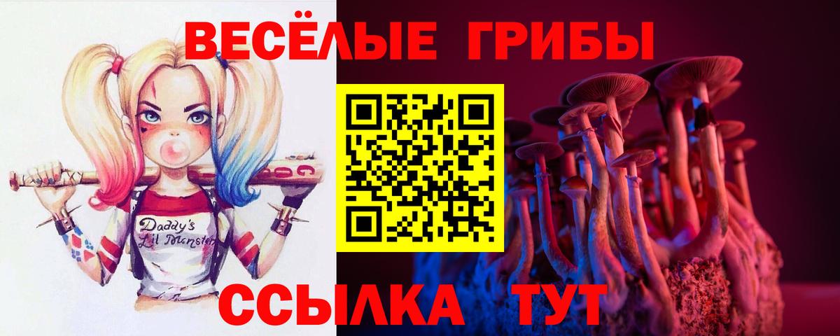 Галлюциногенные грибы GOLDEN TEACHER Краснознаменск