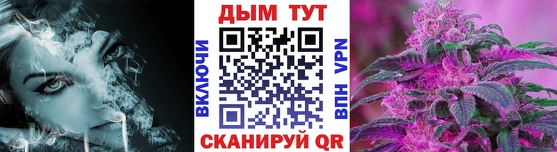 Бошки Шишки THC 21%  MEGA сайт  Краснознаменск 